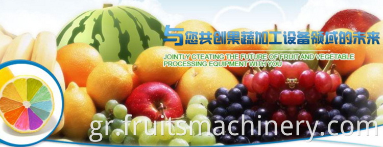 Full automatic industrial chilli sauce processing machine